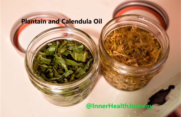 How to Make Plantain Oil and Calendula Oil